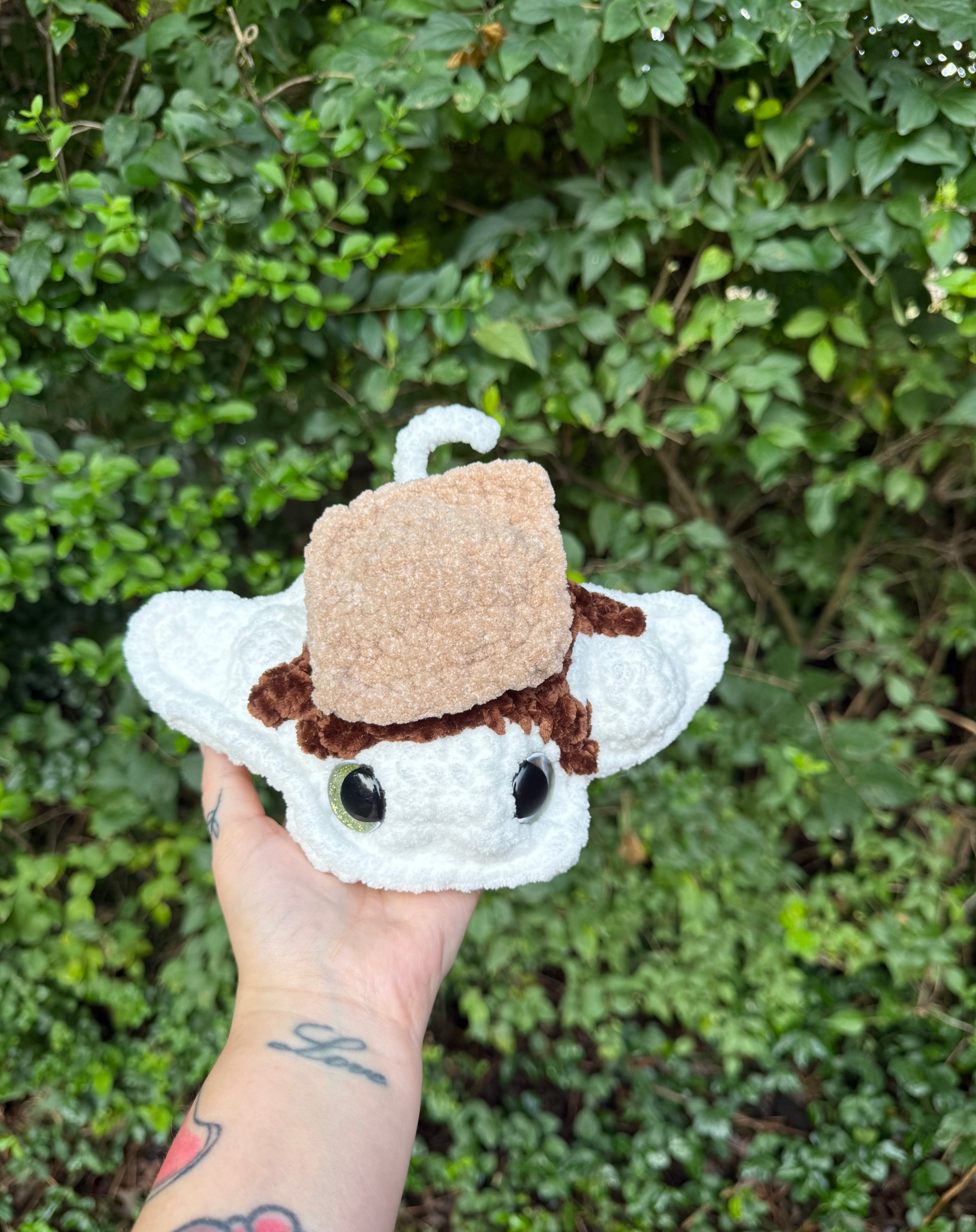 S’mores Stingray