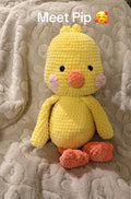 Pip the Duck