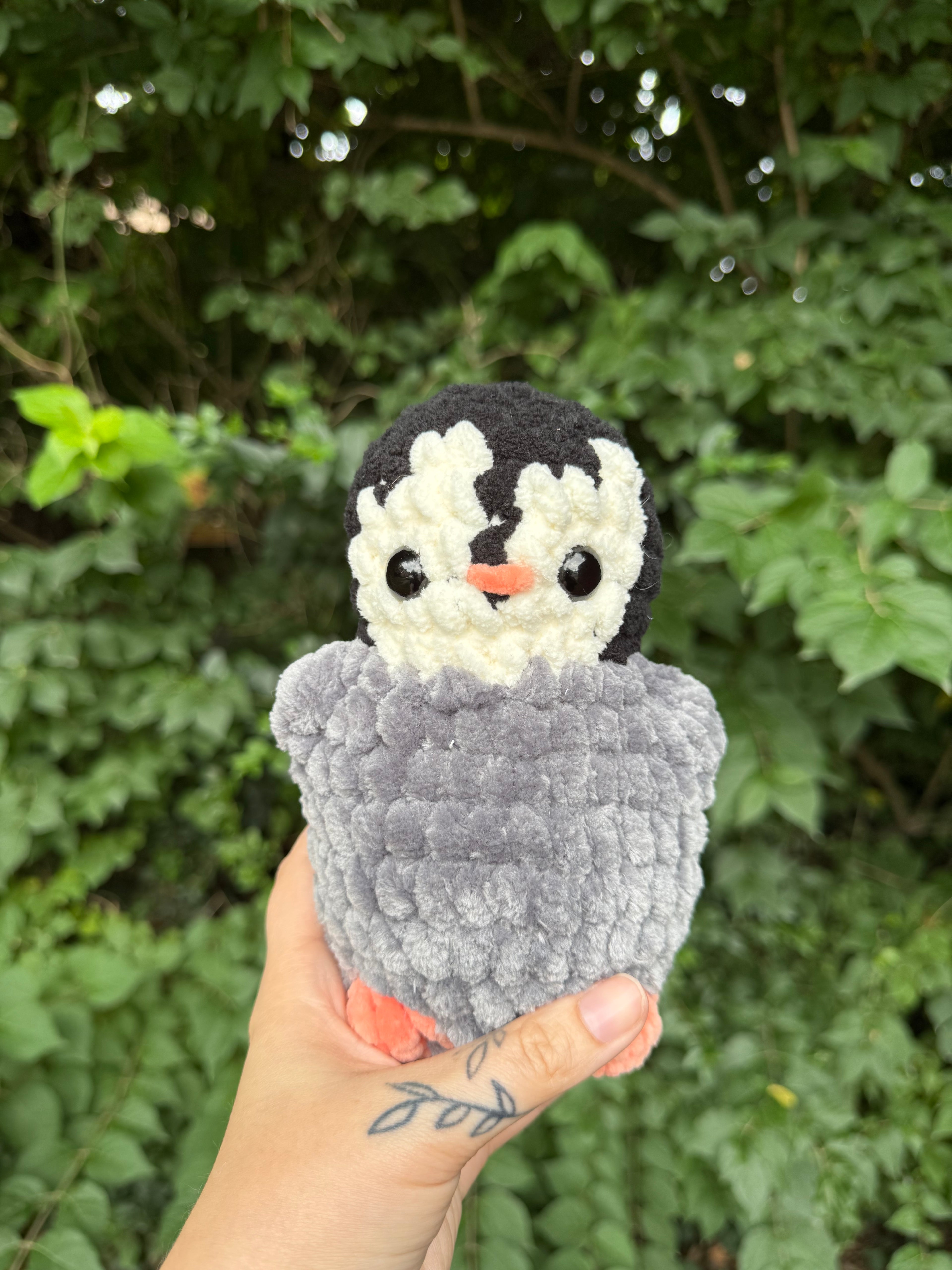Baby Penguin
