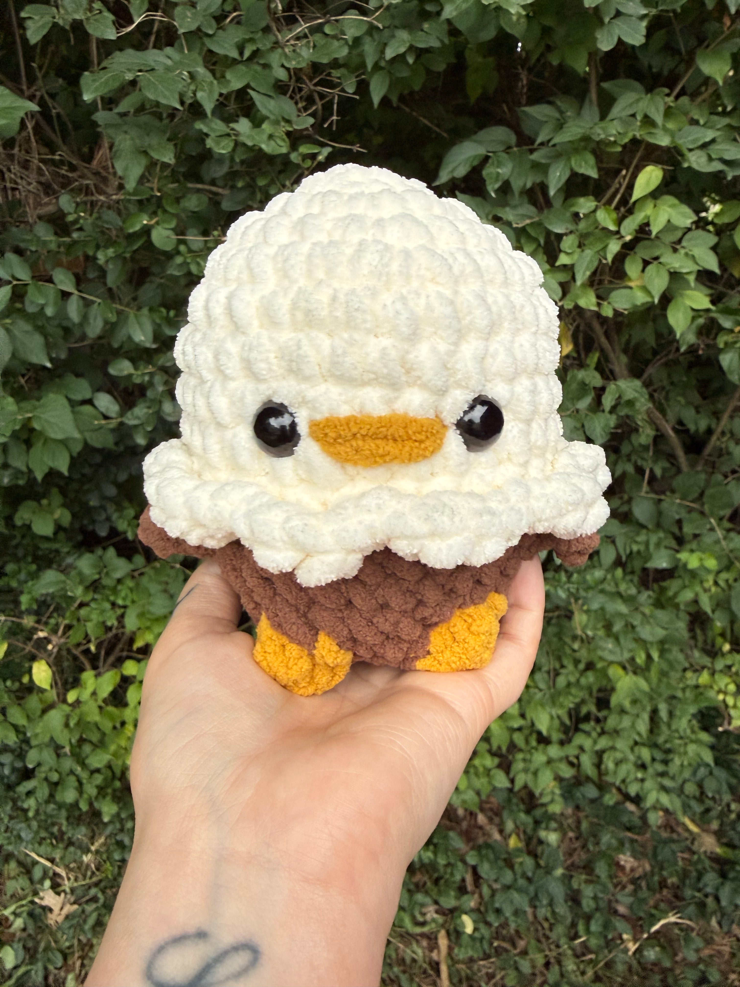 Bald Eagle Chick