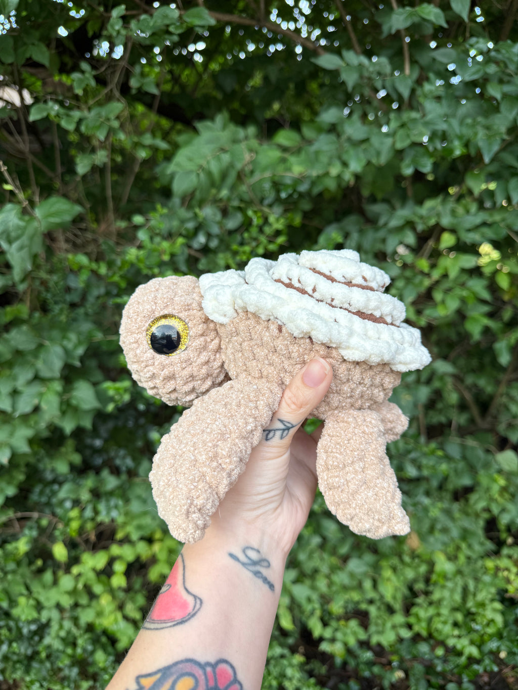 Cinnamon Roll Turtle