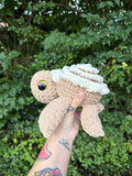 Cinnamon Roll Turtle