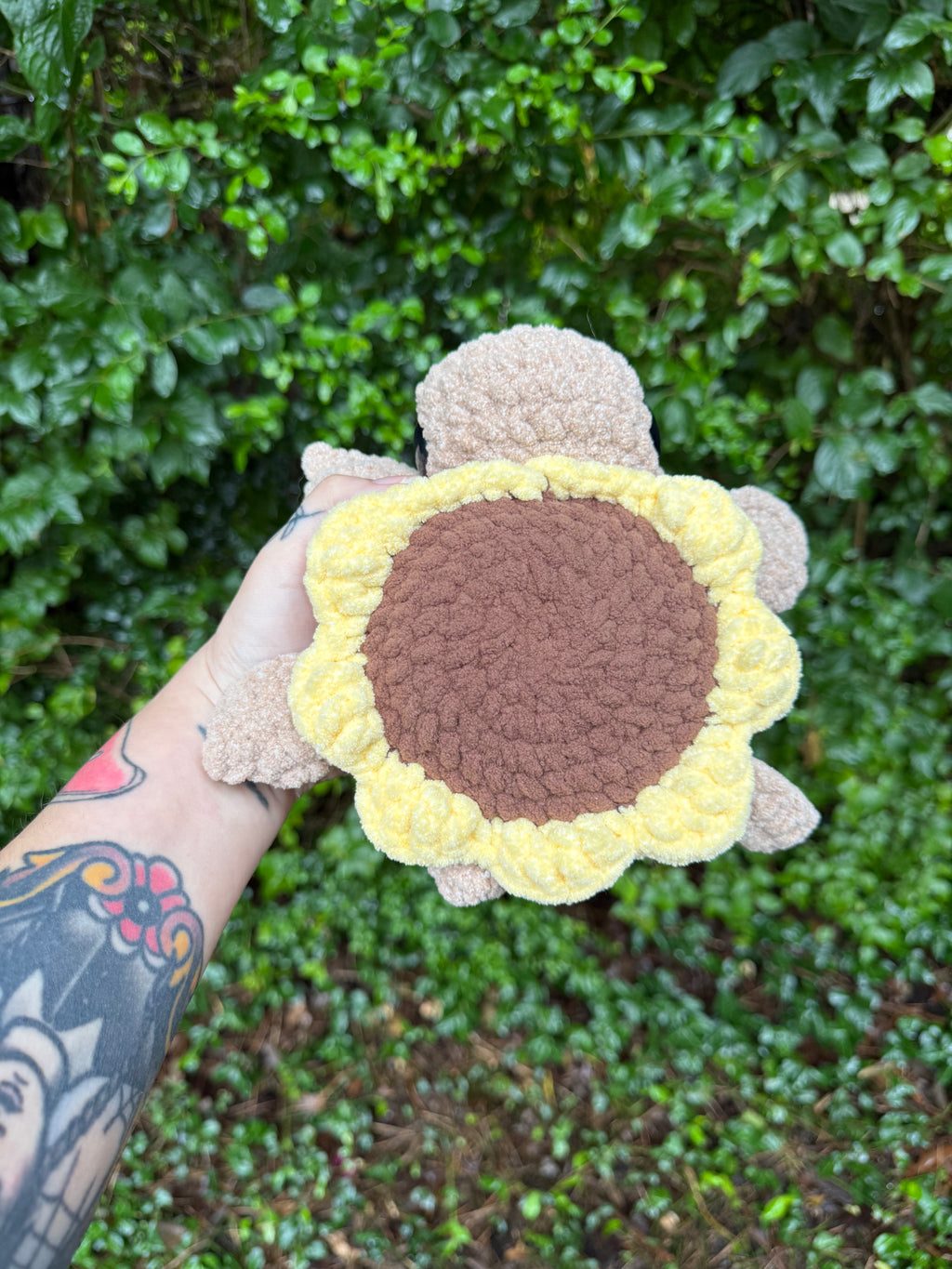 Sunflower Turtle