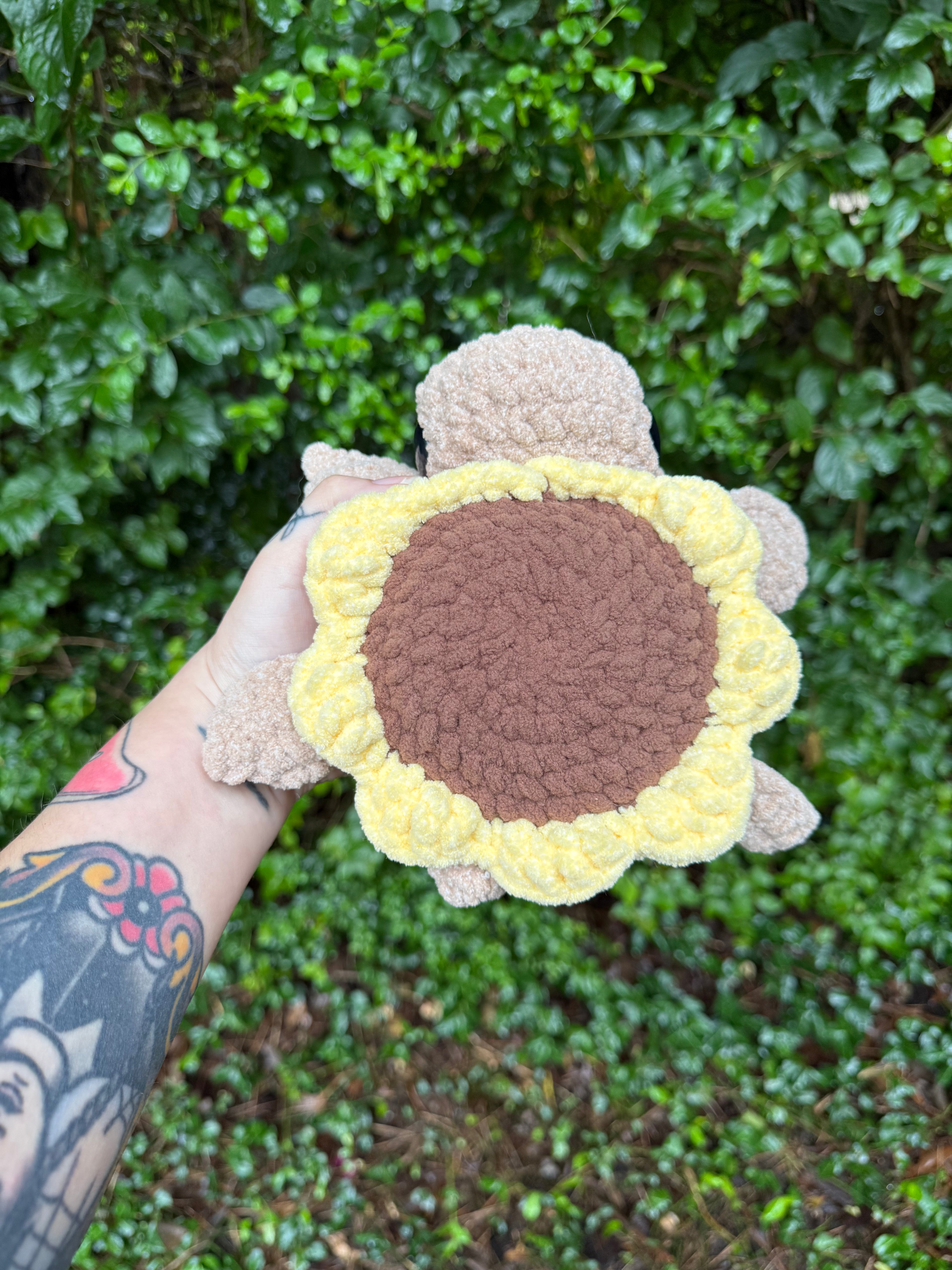 Sunflower Turtle