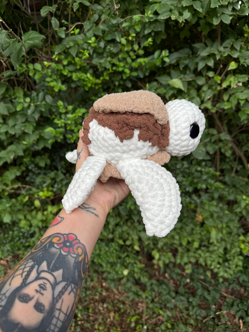 S’mores Turtle