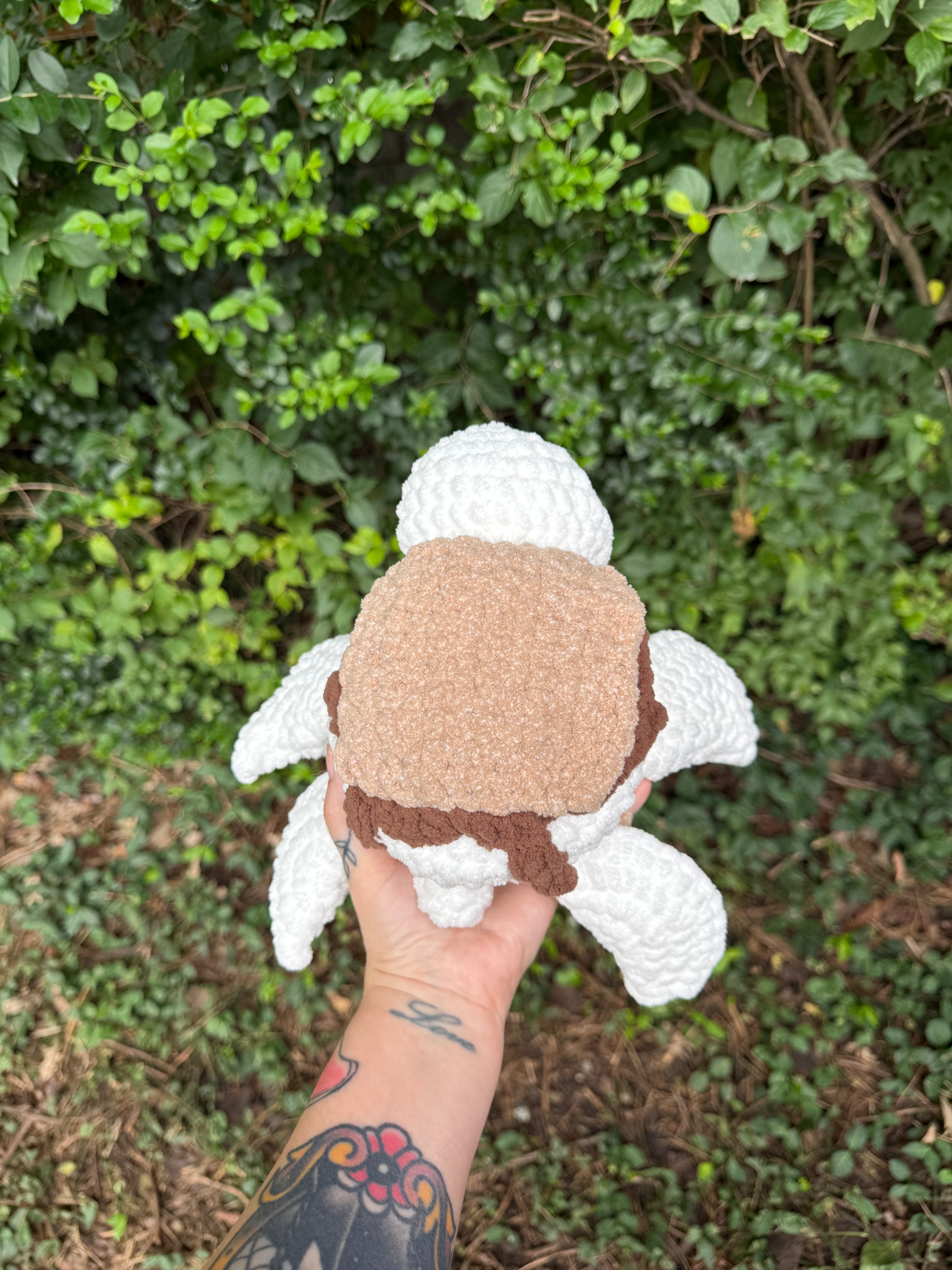 S’mores Turtle