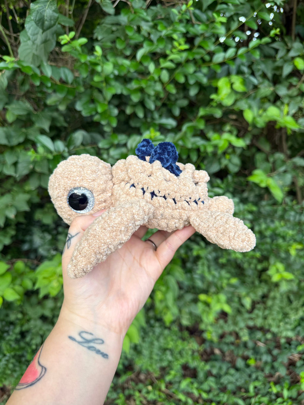 Blueberry Pie Turtle