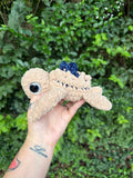 Blueberry Pie Turtle
