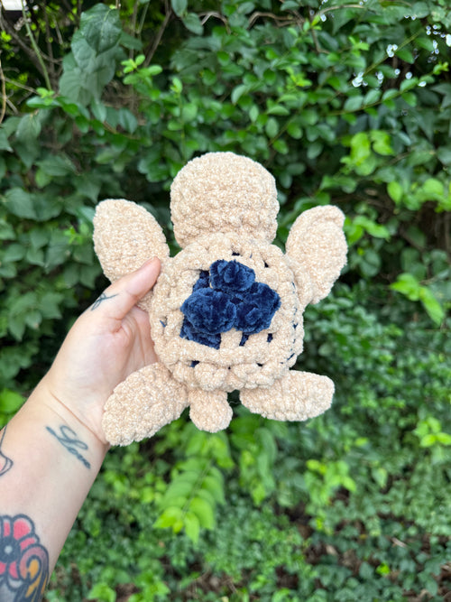 Blueberry Pie Turtle