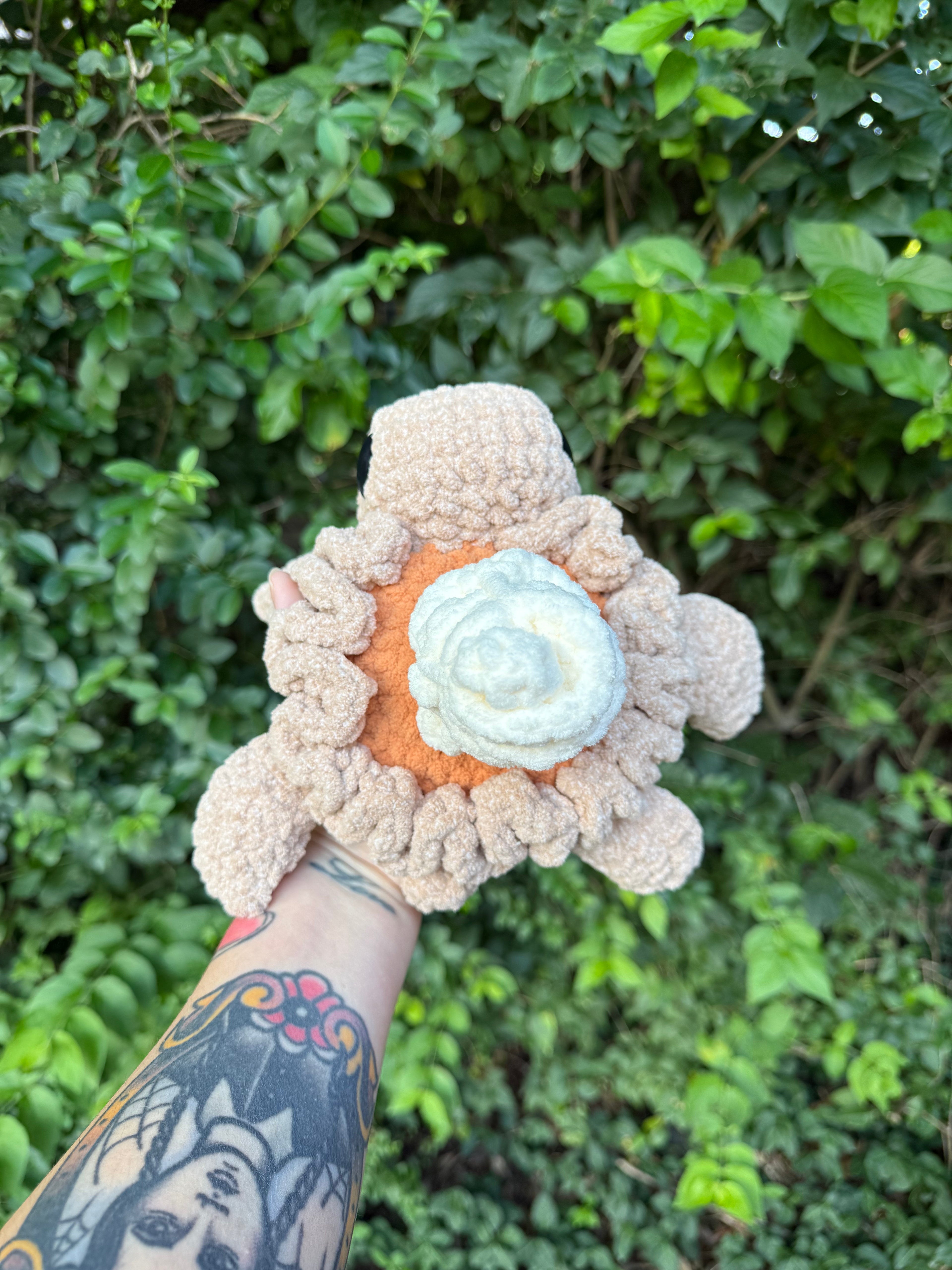 Pumpkin Pie Turtle